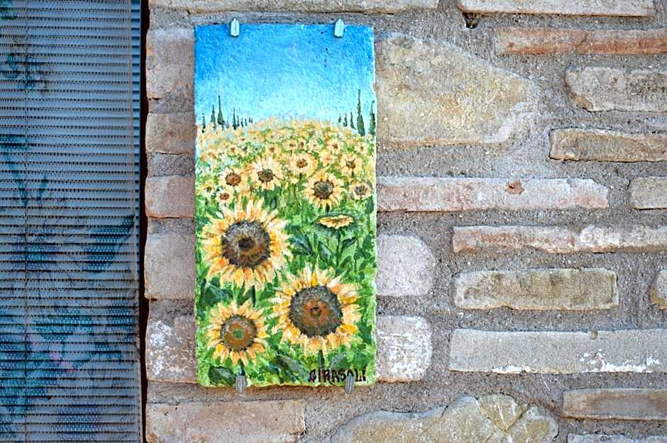 La Sorgente Del Subasio