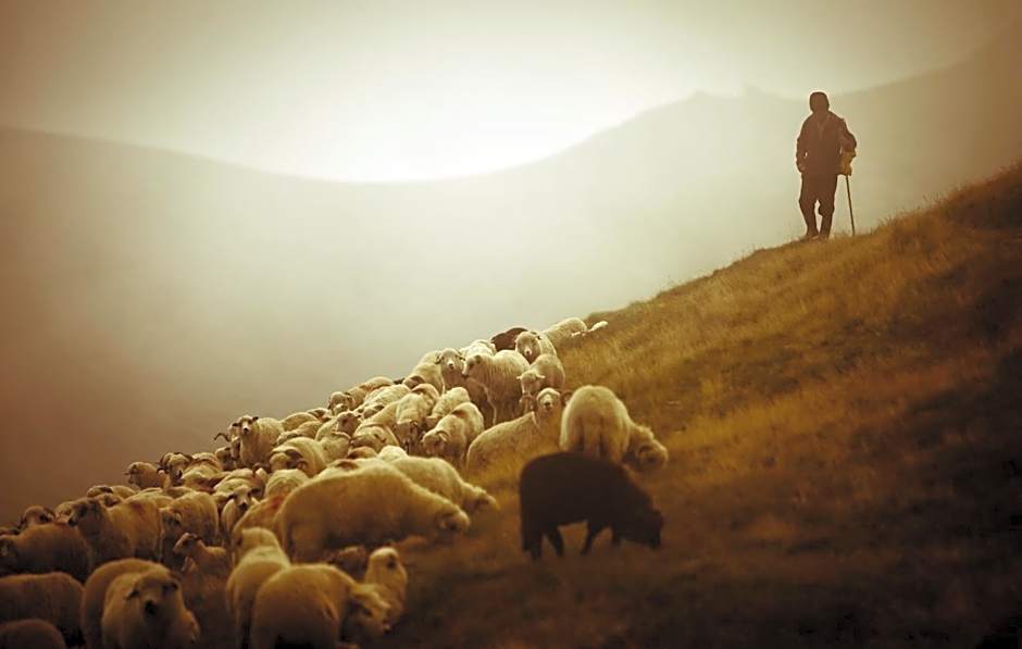 Chatka U Hazy - Regionalne Pokoje Zakopane