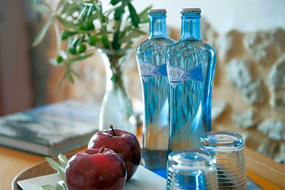 Mas Falgarona Hotel Boutique & SPA