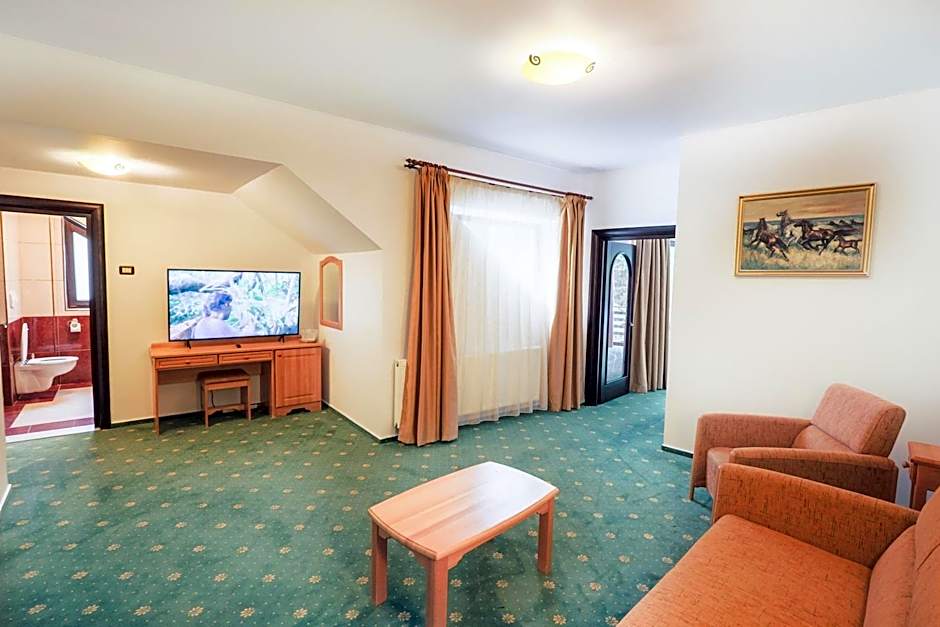 Hotel Casa Viorel jacuzzi & saunas