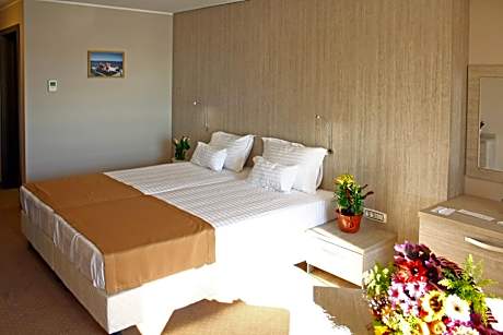 Deluxe Double or Twin Room with River View