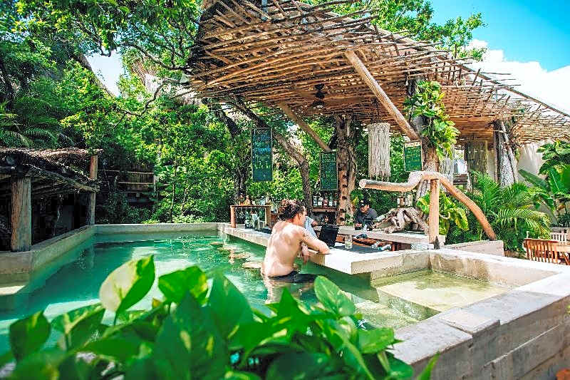 Orchid House Tulum Jungle