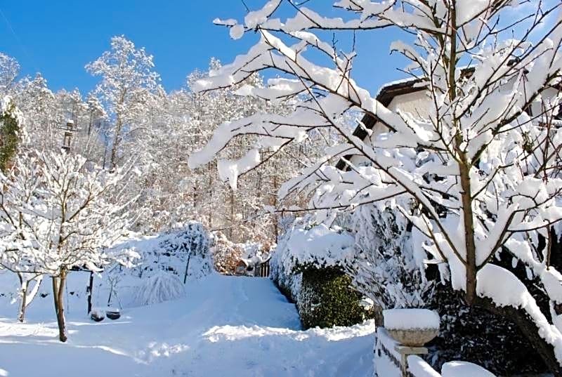 Il Ghiro B&B
