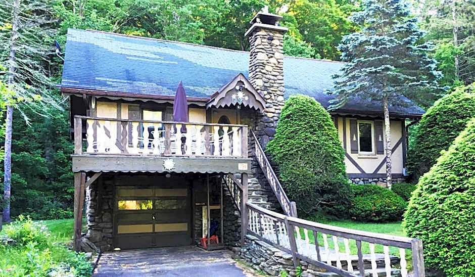 Slide Mountain Forest House