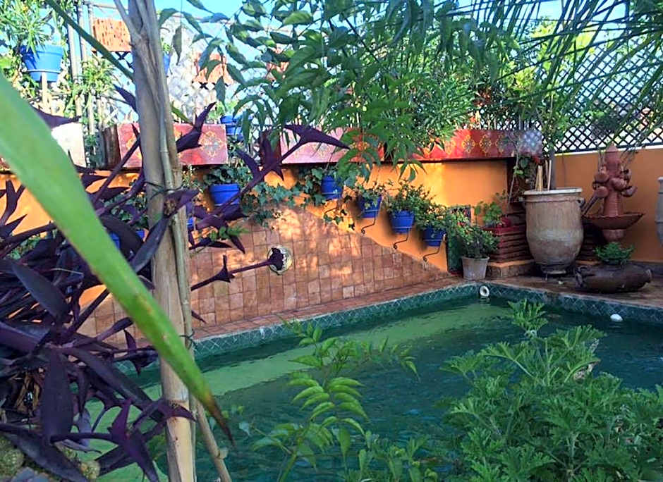 Riad Laith