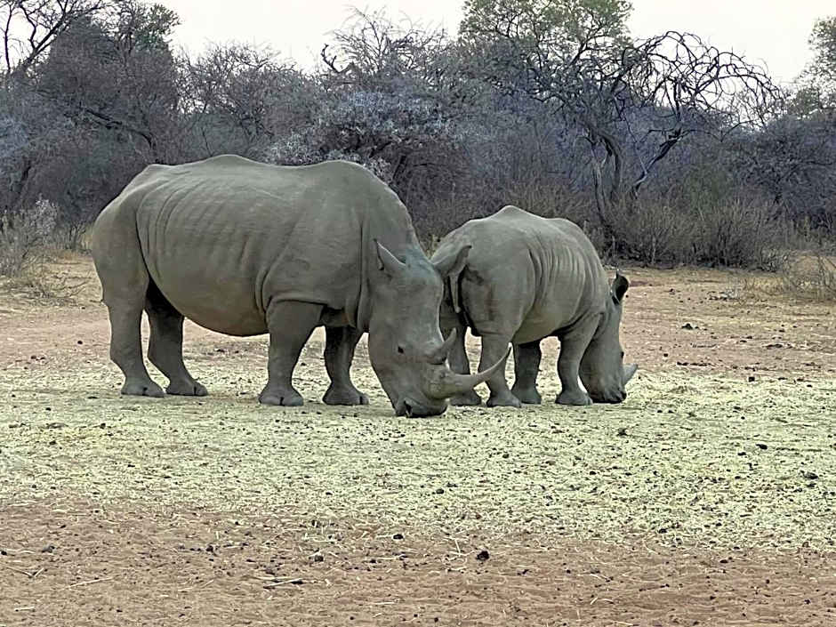 Milkwood Safari Lodge