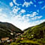 B&B Bouganville