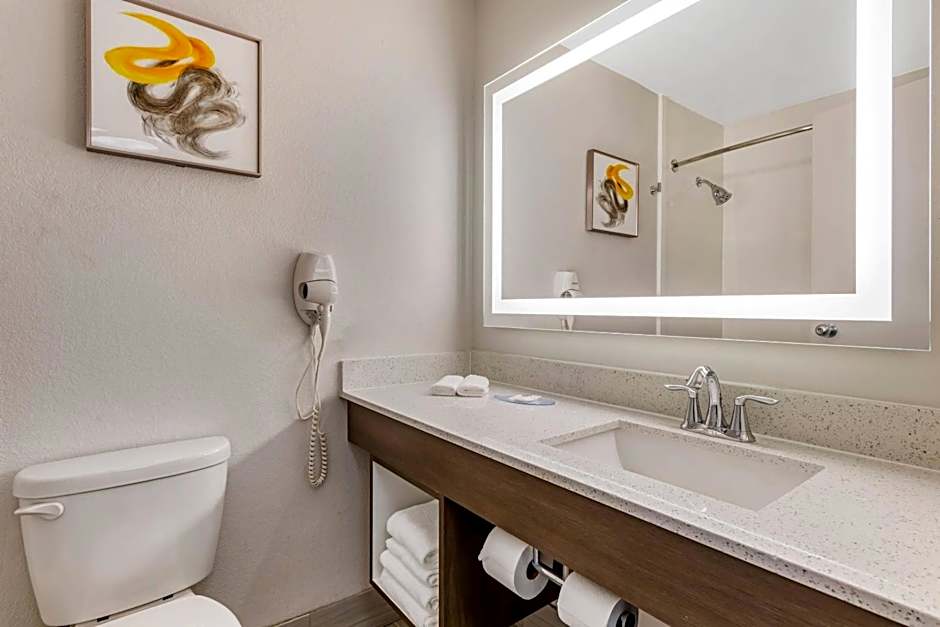 Comfort Inn & Suites Clemson - University Area