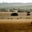 Hlosi Game Lodge - Amakhala Game Reserve