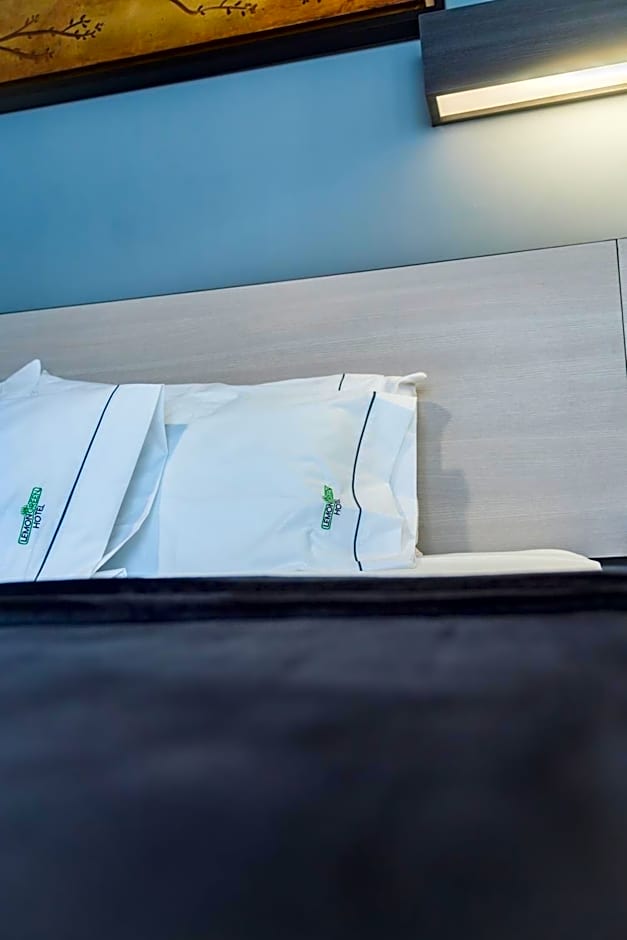 HOTEL LEMON GREEN -Zona Expo Frente al Centro de Convenciones