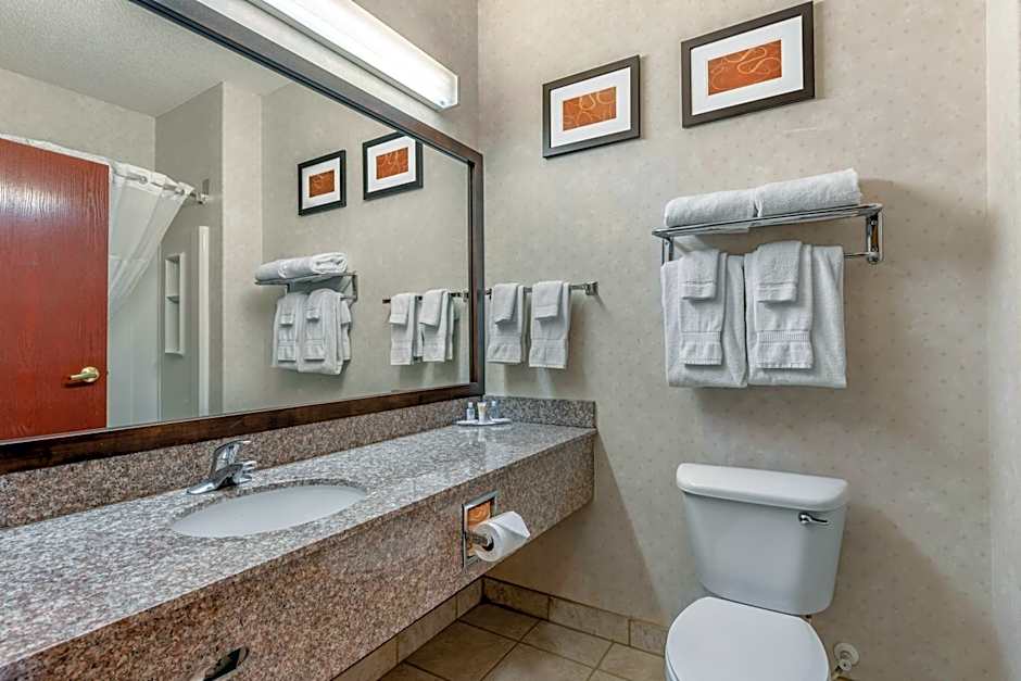 Comfort Suites Castle Rock - Denver South