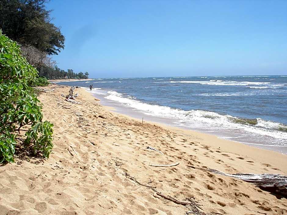 Islander on the Beach Unit 244