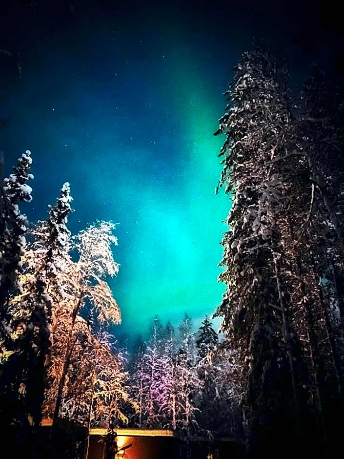 Skyfire Village Igloos