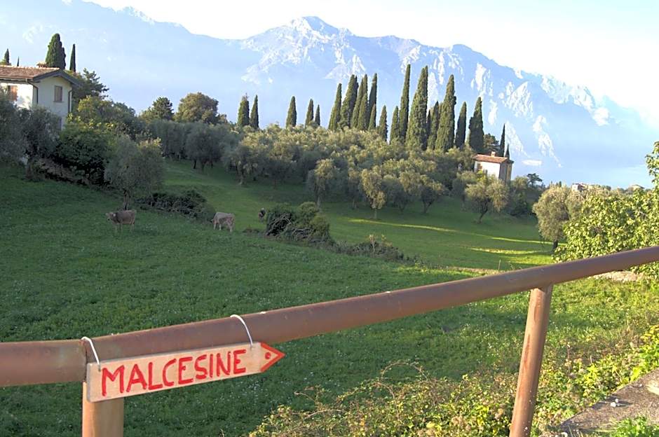 Guesthouse Grand View