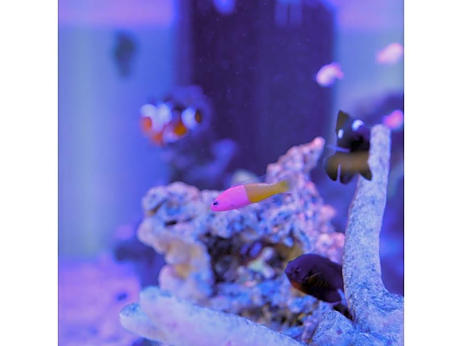 Kanazawa Station Hotel - Vacation STAY 36362v