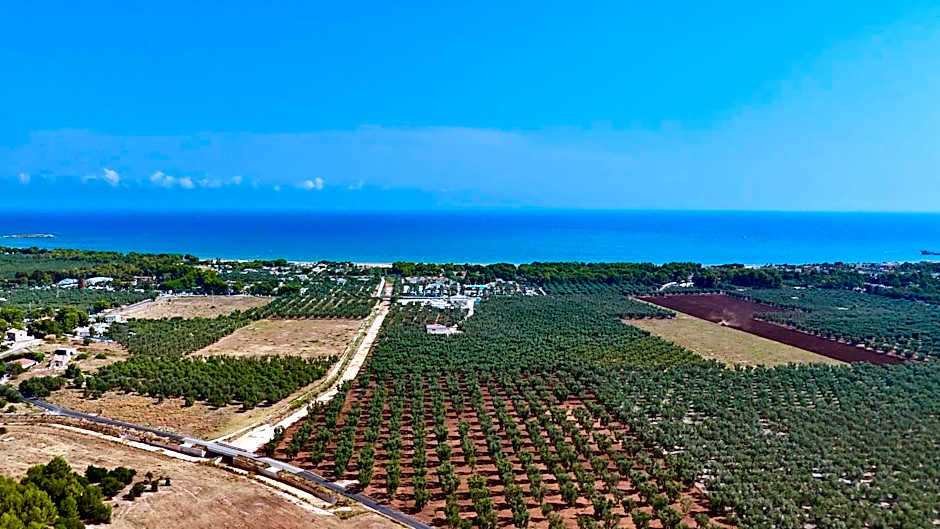 Villa Amica
