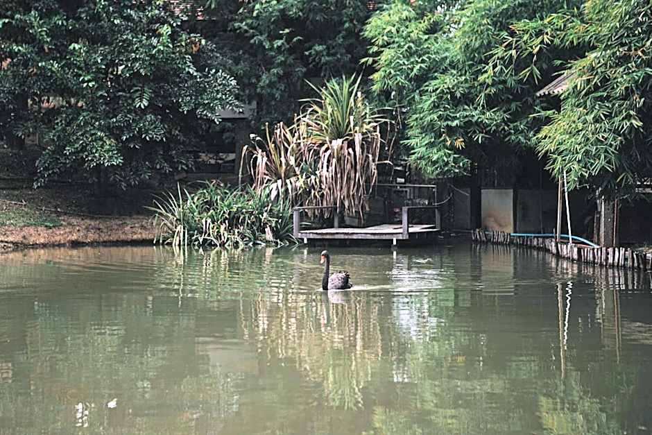 U Maerim Chiangmai - อยู่แม่ริม เชียงใหม่