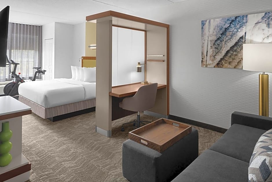 SpringHill Suites by Marriott Pittsburgh Southside Works
