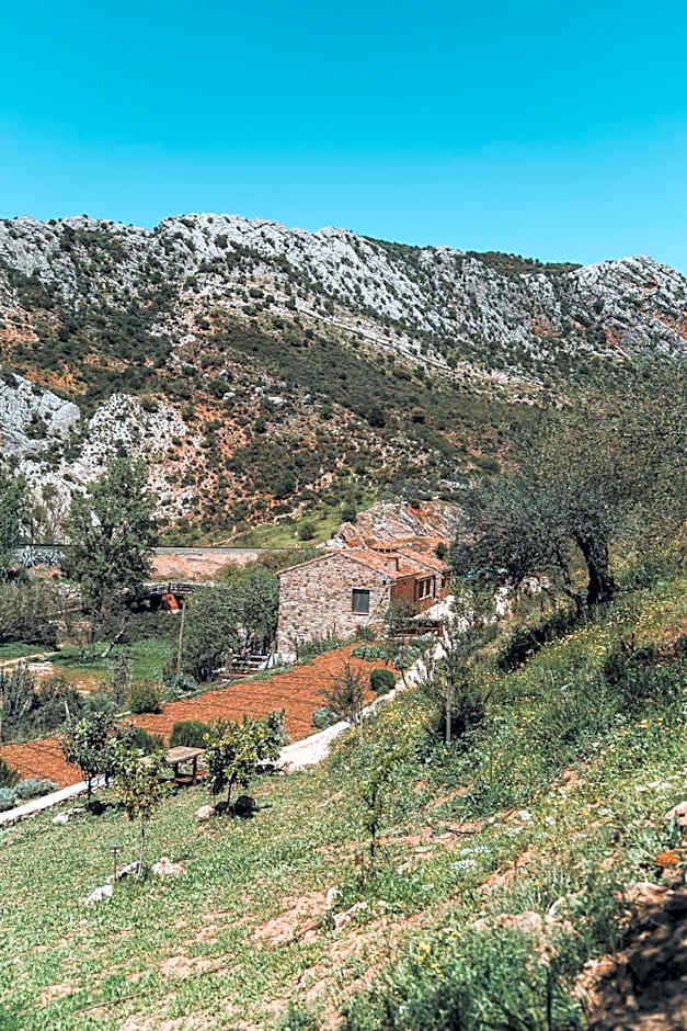 Eco Hotel Cueva del Gato