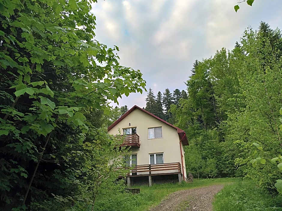 Șoaptele pădurii & Căsuța din pădure