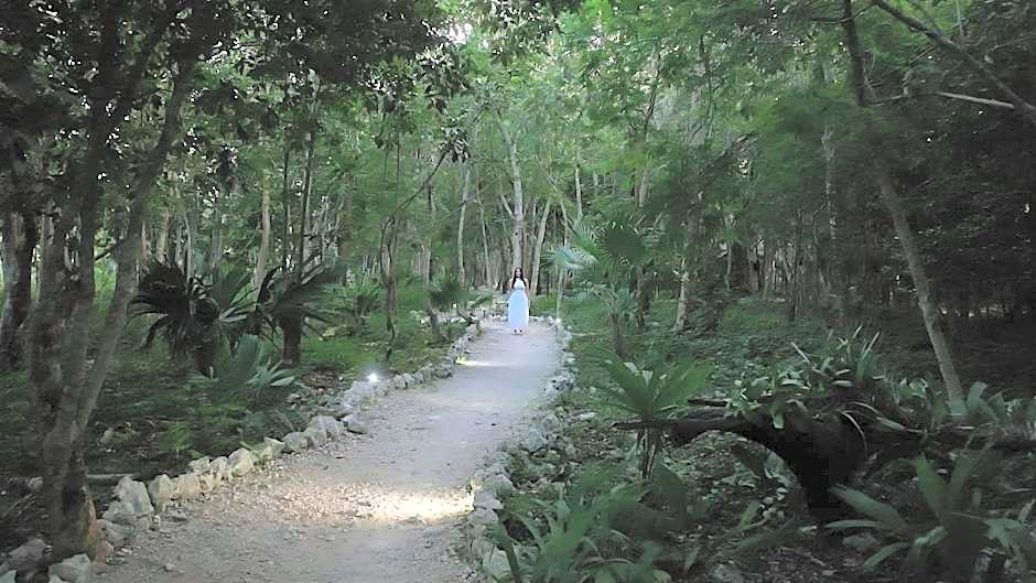 Akumal Natura Glamping