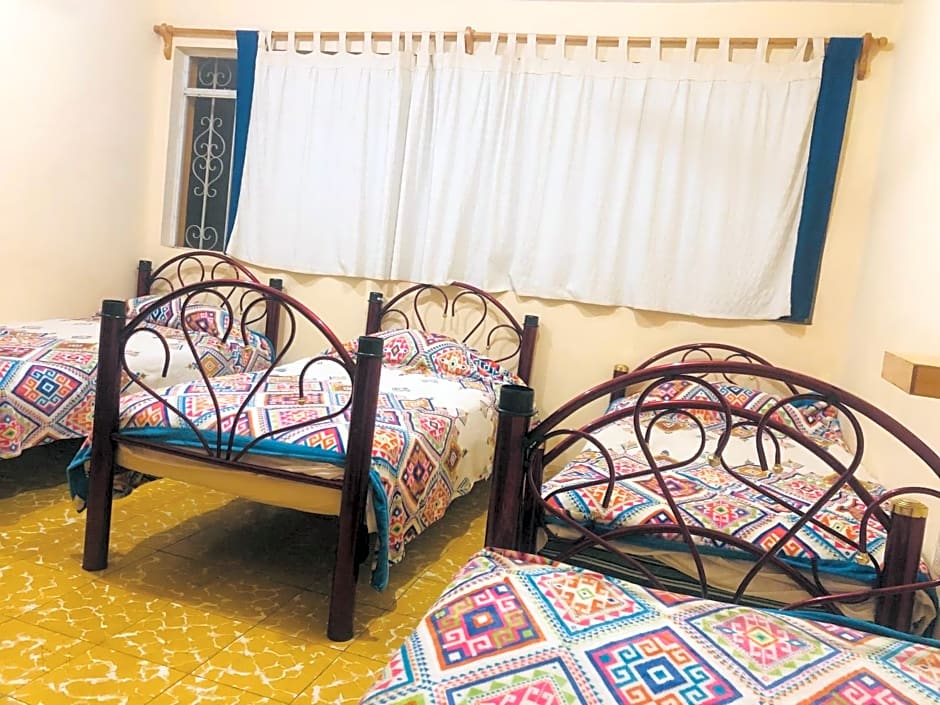Los Nardos Hostel