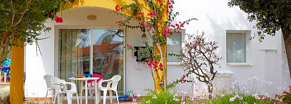 Comitas Isla del Aire