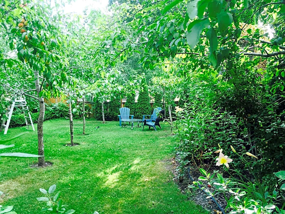 Luna Bed & Breakfast