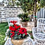 B&B Le Torri