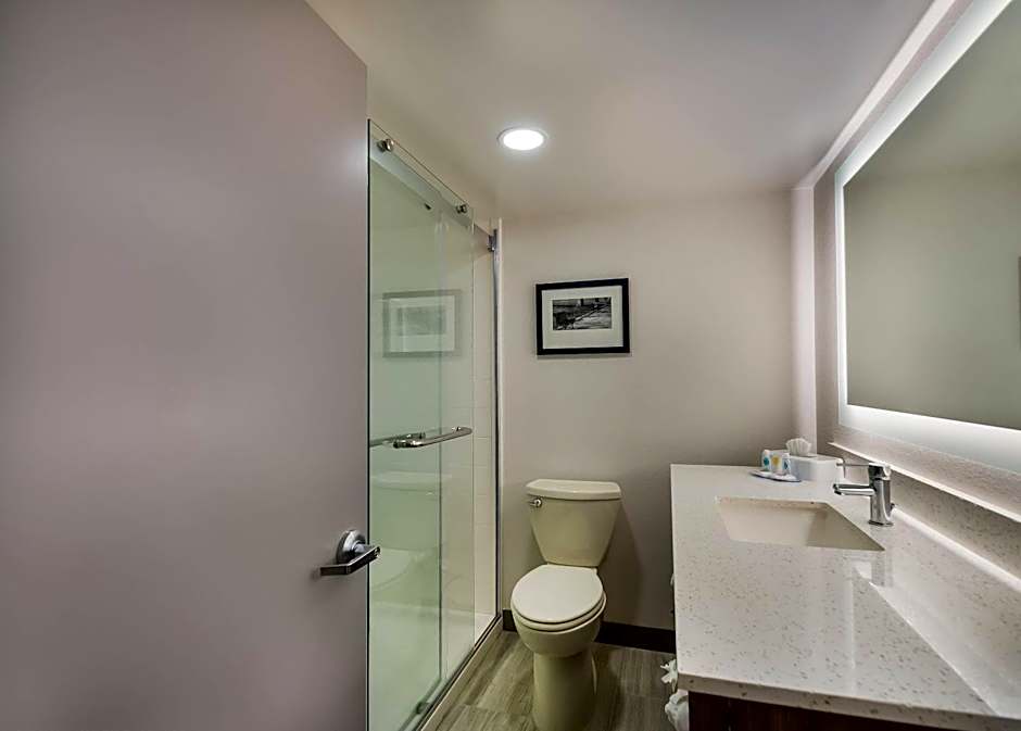 Comfort Inn Falls Church - Tysons Corner