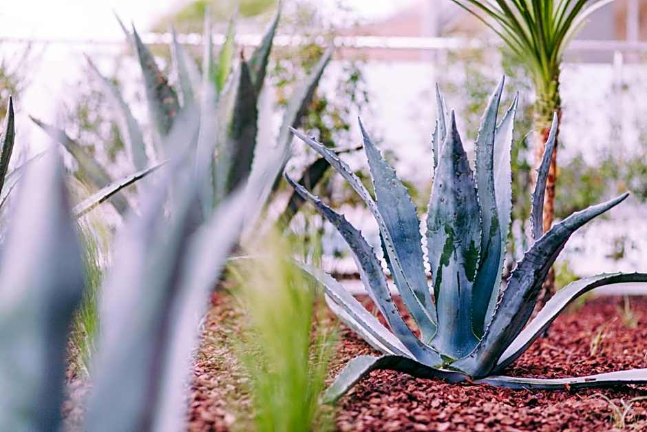 Hôtel & Spa Villa Seren