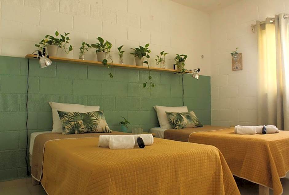Casa Palmita