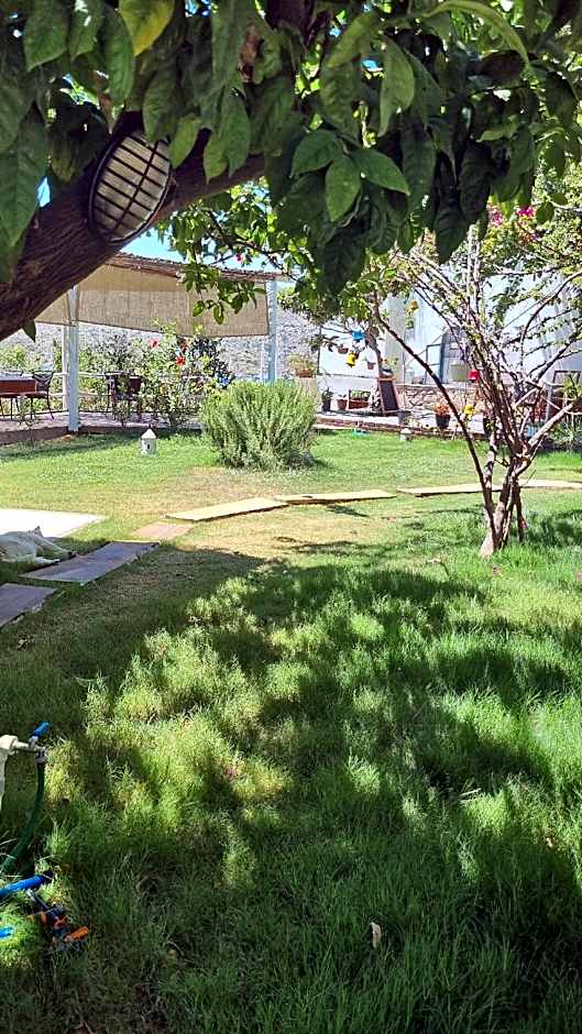 Lemon garden butik otel