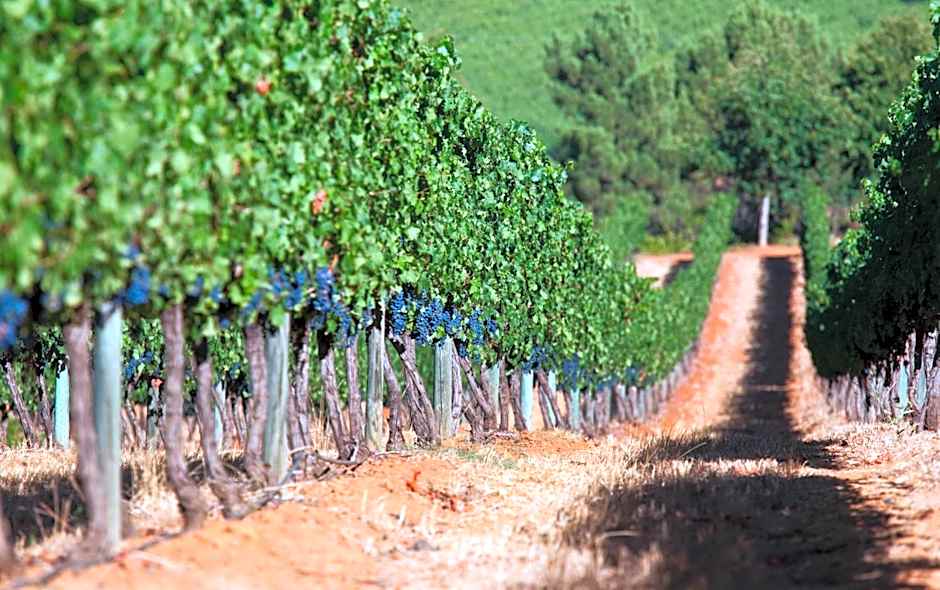 Delaire Graff Lodges and Spa