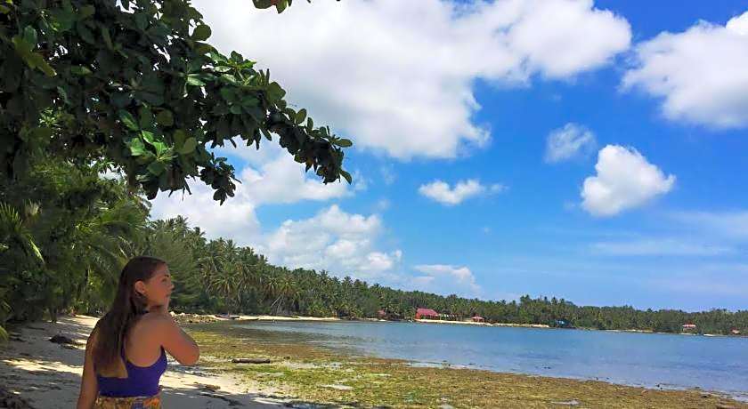 Salty Dog Hostel