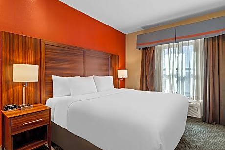1 King Bed Suite Nonsmoking