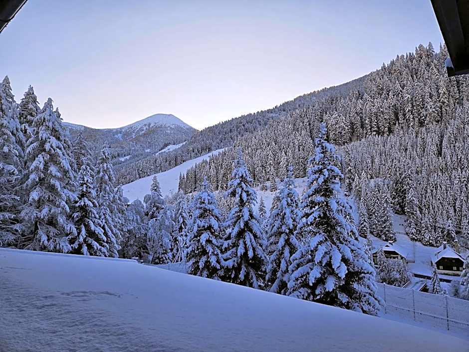 Kinder- und Familienhotel Nockalm