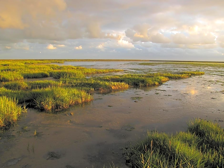 Hotel Waddengenot