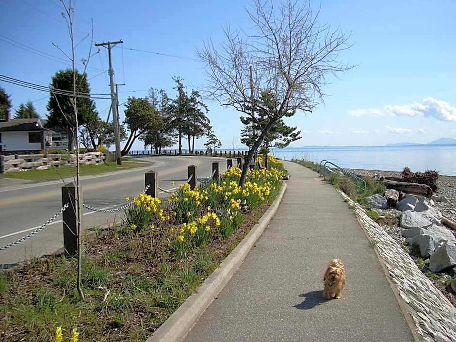 Davis Bay Bed & Breakfast