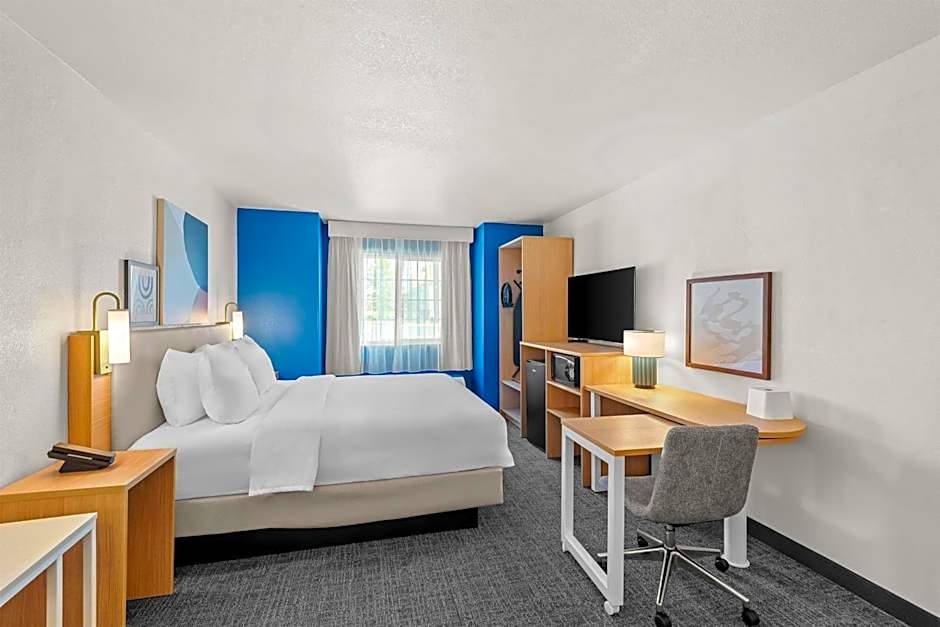 Spark by Hilton Appleton