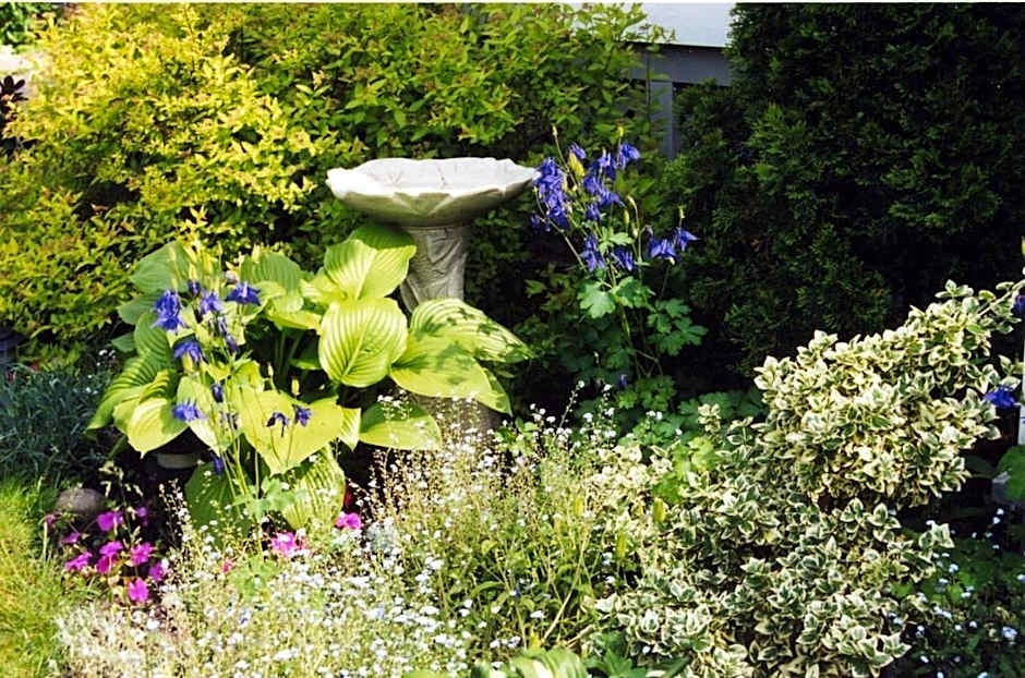 Strathaird Bed and Breakfast