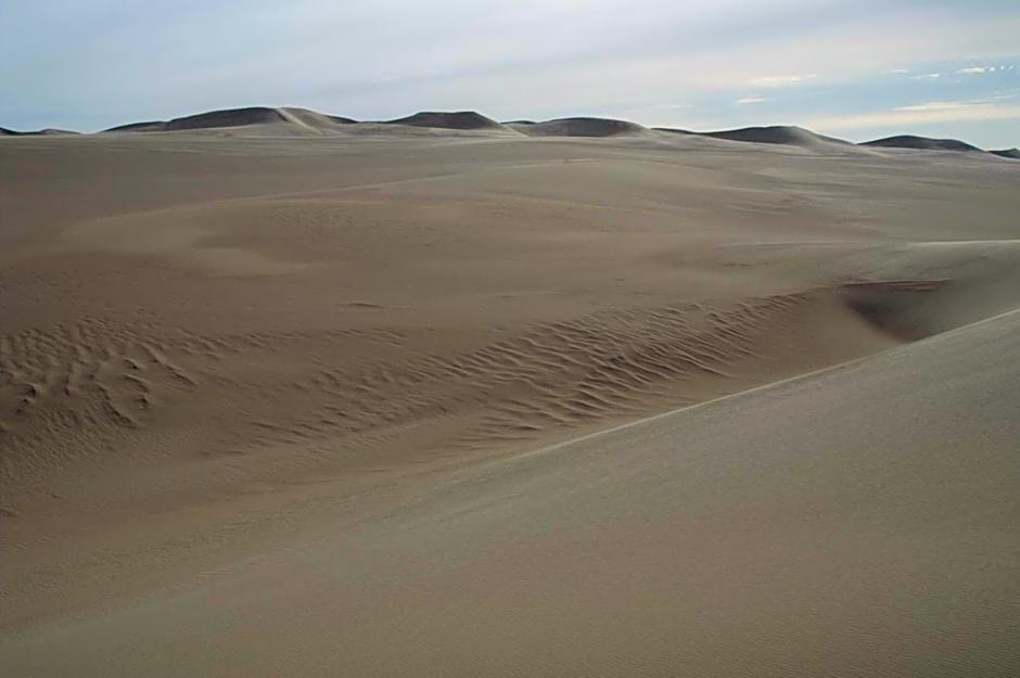 Western Desert Hotel & Safari