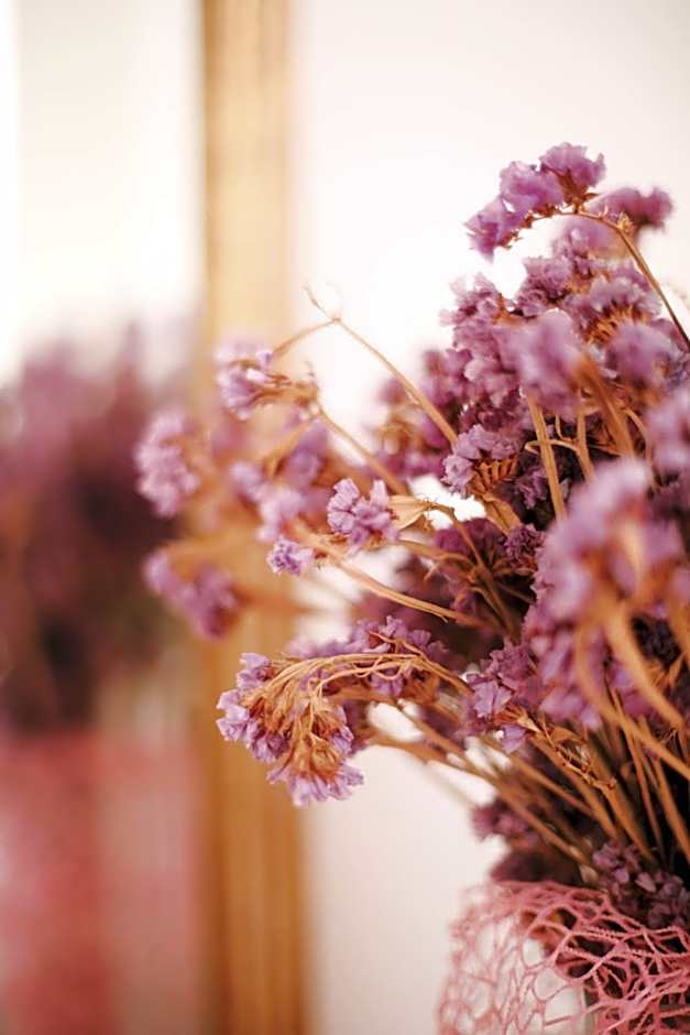 Bed & Breakfast Spigolatrice