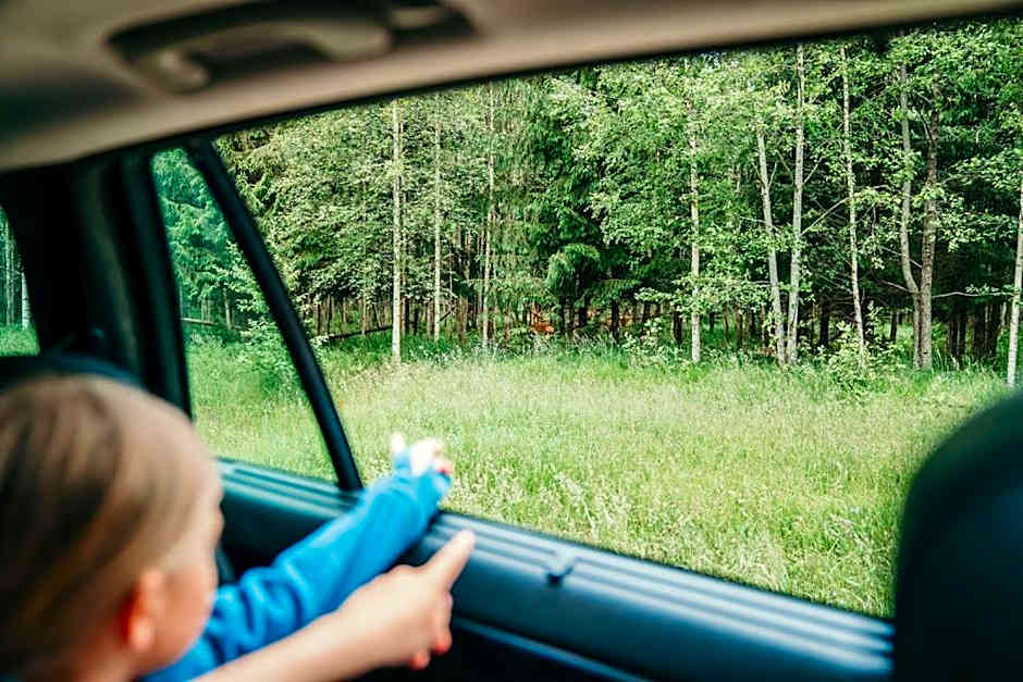 Toosikannu Nature Resort & Hotel