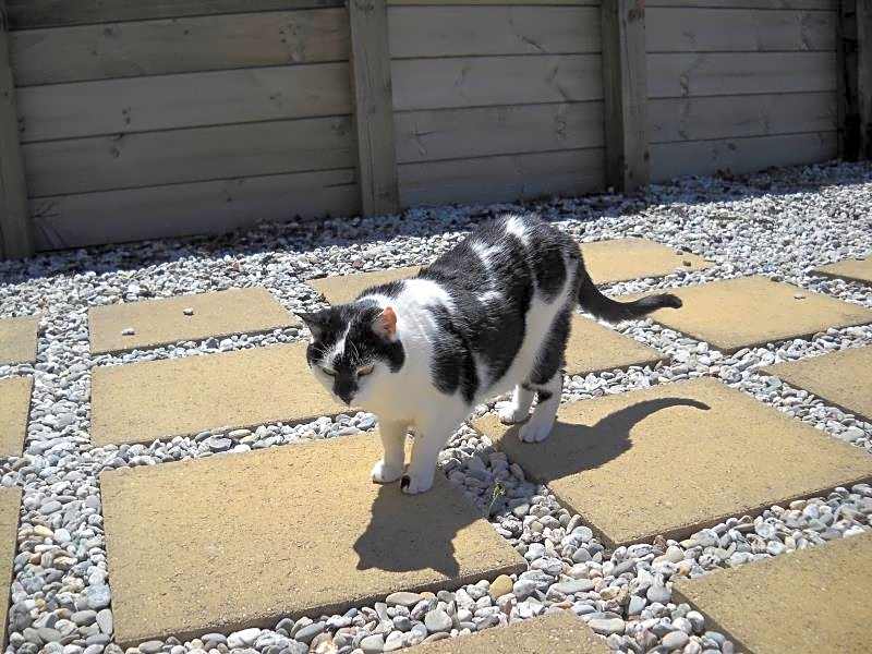 Criffel Peak View Bed and Breakfast