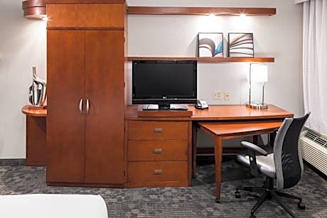 One-Bedroom King Suite with Sofa Bed