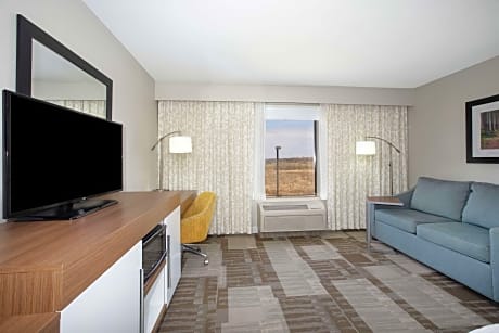 1 King Bed Study With Sofabed Nonsmoking