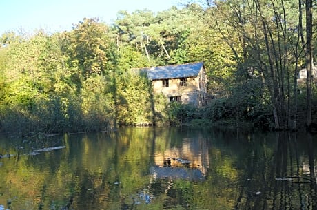 Le triskel de Bertaud