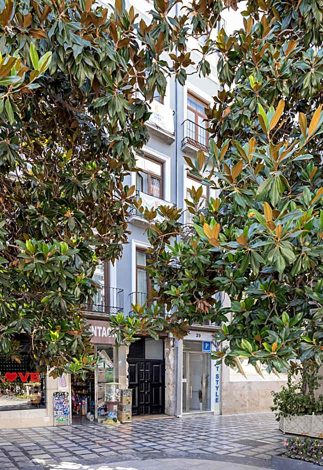 Nest Style Granada