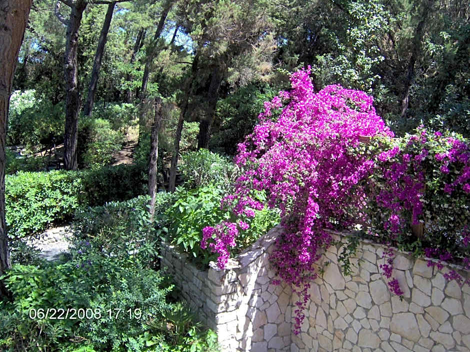 Residence Casa Di Caccia